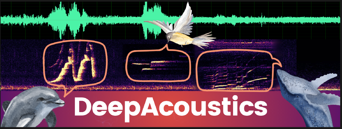 DeepAcoustics Cover